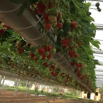 le jardin de sandillon - les 3 fermes
