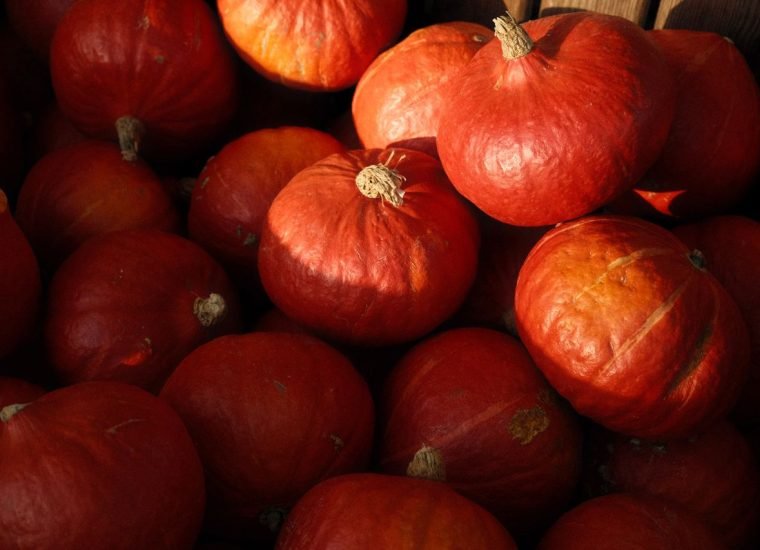A vibrant close-up of red pumpkins stacked together, highlighting fall's natural beauty.
