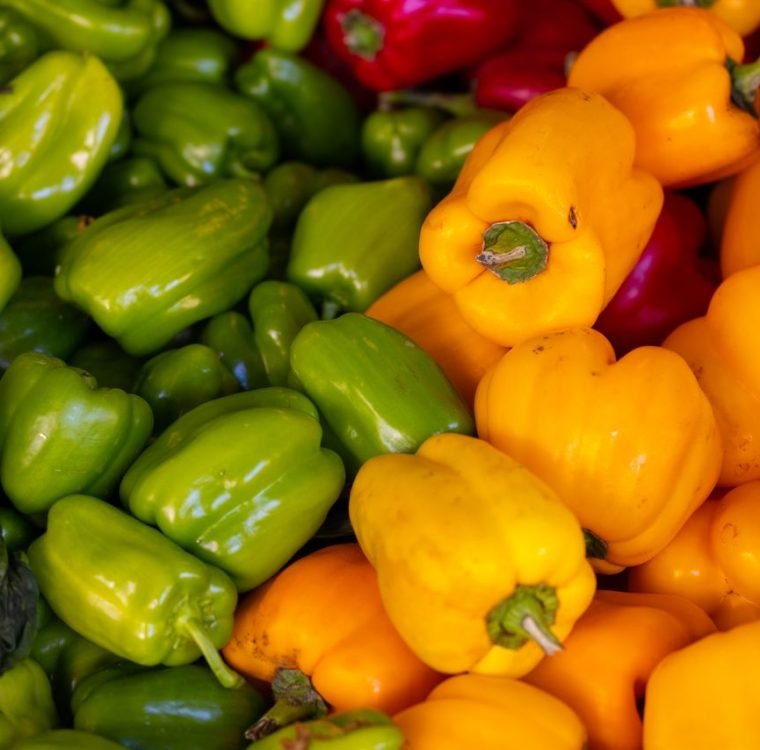 A close-up view of fresh, organic bell peppers in assorted colors, showcasing their vibrant hues.