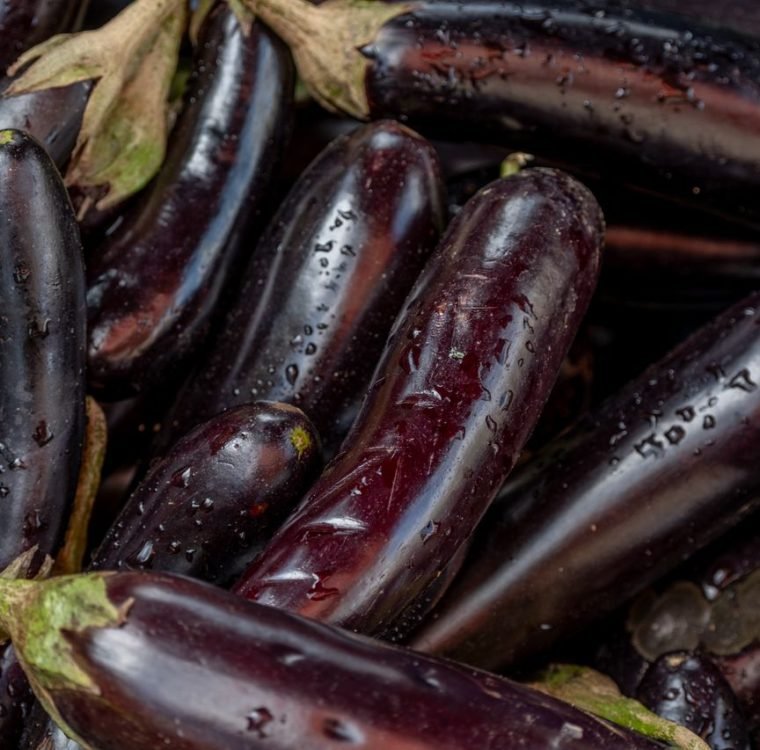 Close-up of fresh eggplants with water drops, showcasing their dark purple color and texture.