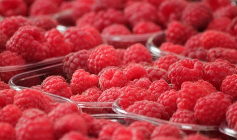 Clafoutis aux framboises-les3fermes